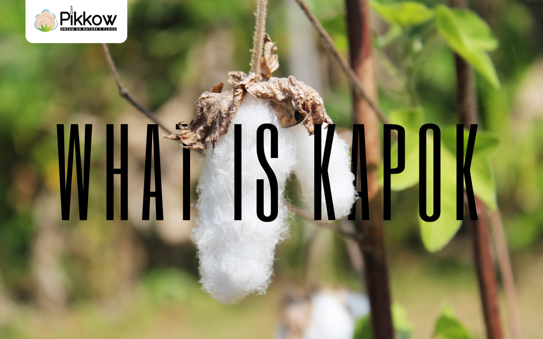 What is Kapok fiber? How does it benefit you?