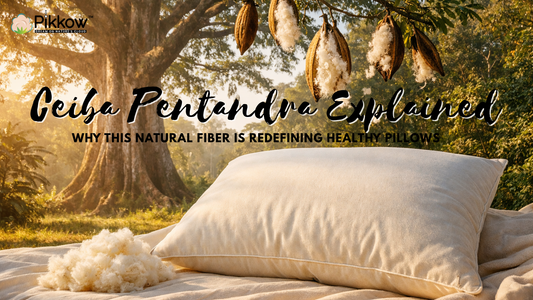 Kapok fiber from Ceiba pentandra used as breathable, natural pillow filling