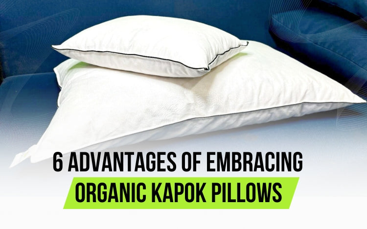Get to know all Organic Kapok Pillow Advantages from our premium brand known as Pikkow Pillows which sells 100% organic kapok pillows online.