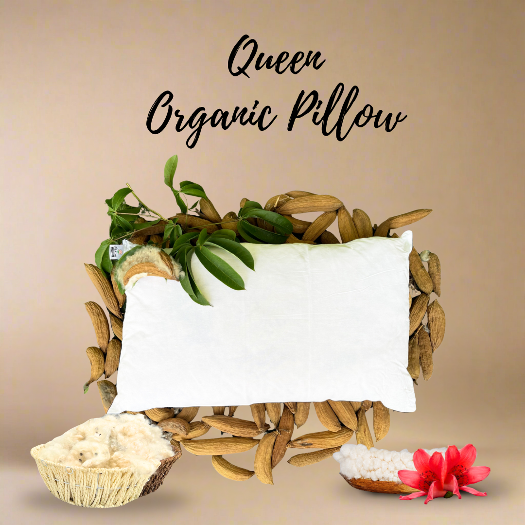 Standard Size Kapok Pillow made from 100% organic kapok seed fiber with breathable cotton cover