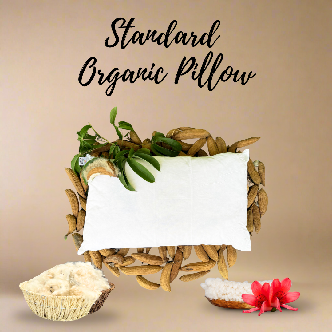 Standard Size Kapok Pillow made from 100% organic kapok seed fiber with breathable cotton cover
