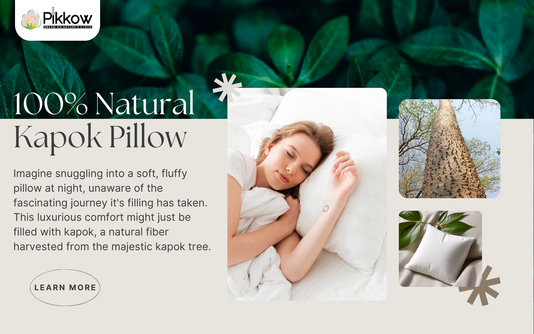 The Journey of Kapok: From Tree to Your Pillow