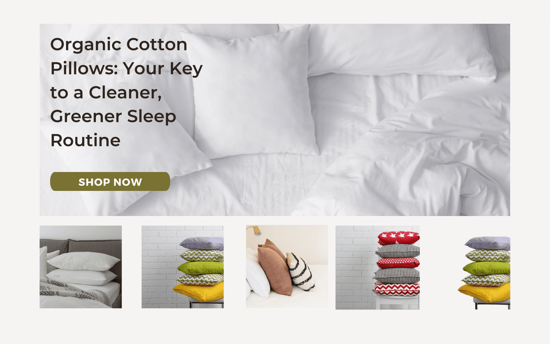 Organic Cotton Pillows: Your Key to a Cleaner, Greener Sleep Routine