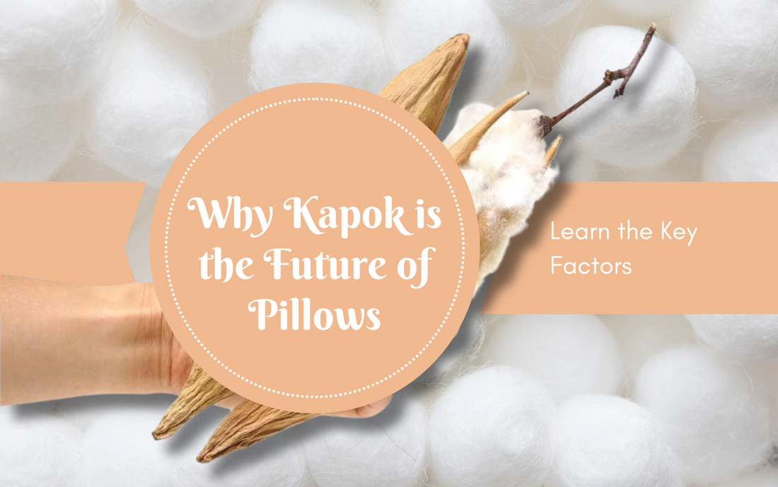 Why Kapok is the Future of Pillows