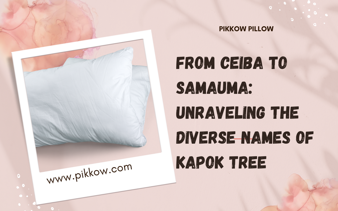 From Ceiba to Samauma: Unraveling the Diverse Names of Kapok Tree