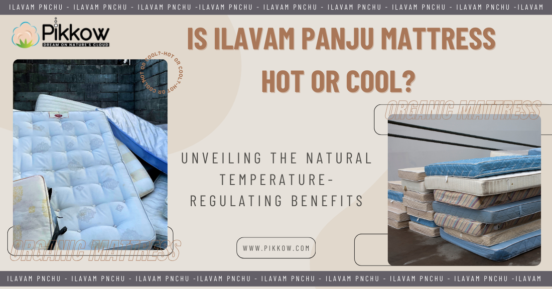 Is Ilavam Panju Mattress Hot or Cool? Unveiling the Natural Temperature-Regulating Benefits