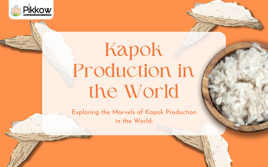 A Journey into Kapok: Unveiling the Landscape of Kapok Production in the World