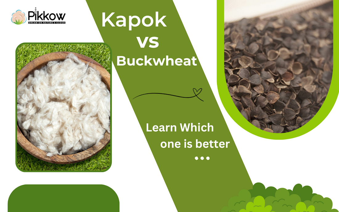 The Support Factor: Kapok vs Buckwheat Pillows Examined