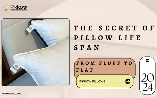The Secret of Pillow Life Span: From Fluff to Flat
