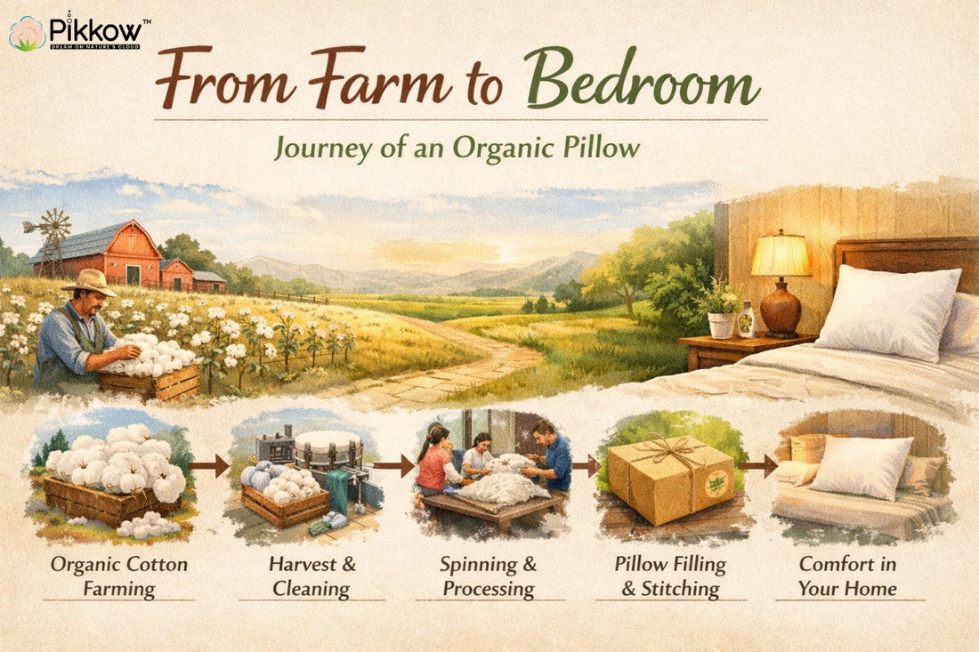 From farm to bedroom journey of an organic pillow illustration showing cotton farming, processing, stitching, and final bedroom use.