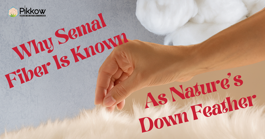 Semal fiber benefits shown as a natural down alternative pillow filling option