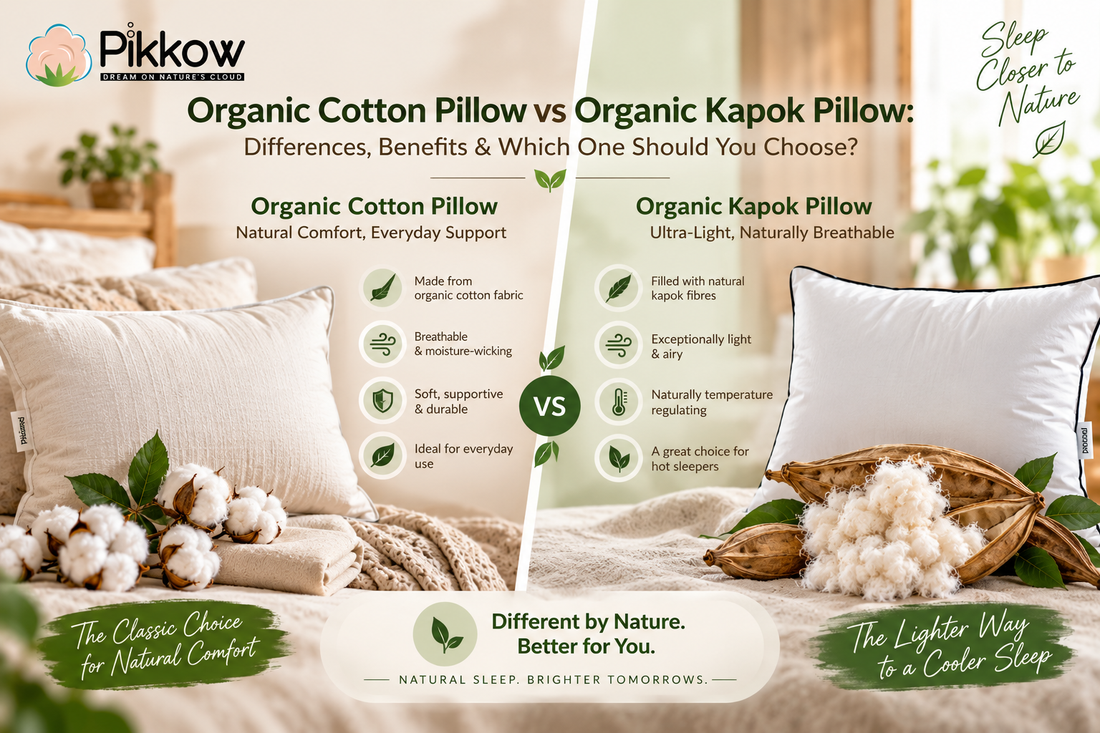 Organic cotton pillow vs organic kapok pillow comparison showing their natural materials, breathability, comfort, support, and suitability for everyday and cooler sleep.