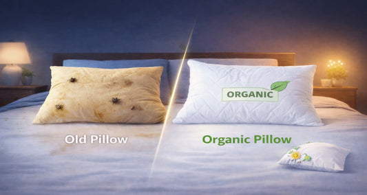 Side-by-side comparison of an old, stained pillow with visible dirt and dust mites and a clean white organic pillow labeled ‘Organic Pillow’ in a bedroom setting, highlighting the difference between worn-out and organic bedding.
