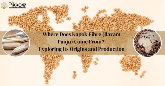 pikkow-pillow-kapok-fibre-origin-and-production