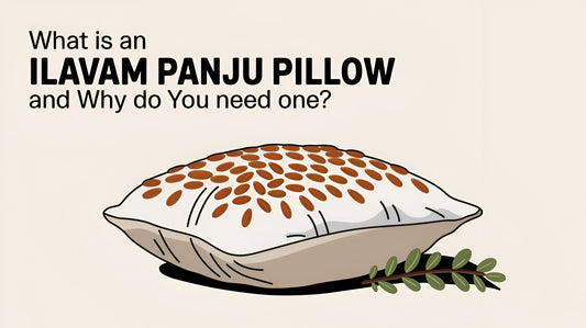 Illustration of an Ilavam Panju Pillow (Kapok Pillow) with natural cotton-like filling, showcasing its eco-friendly and hypoallergenic qualities