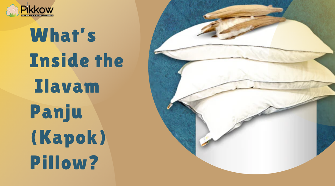 What’s Inside the Ilavam Panju (Kapok) Pillow? Discover the Stuffing