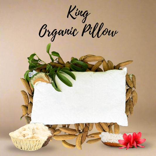 Standard Size Kapok Pillow made from 100% organic kapok seed fiber with breathable cotton cover