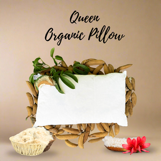 Standard Size Kapok Pillow made from 100% organic kapok seed fiber with breathable cotton cover